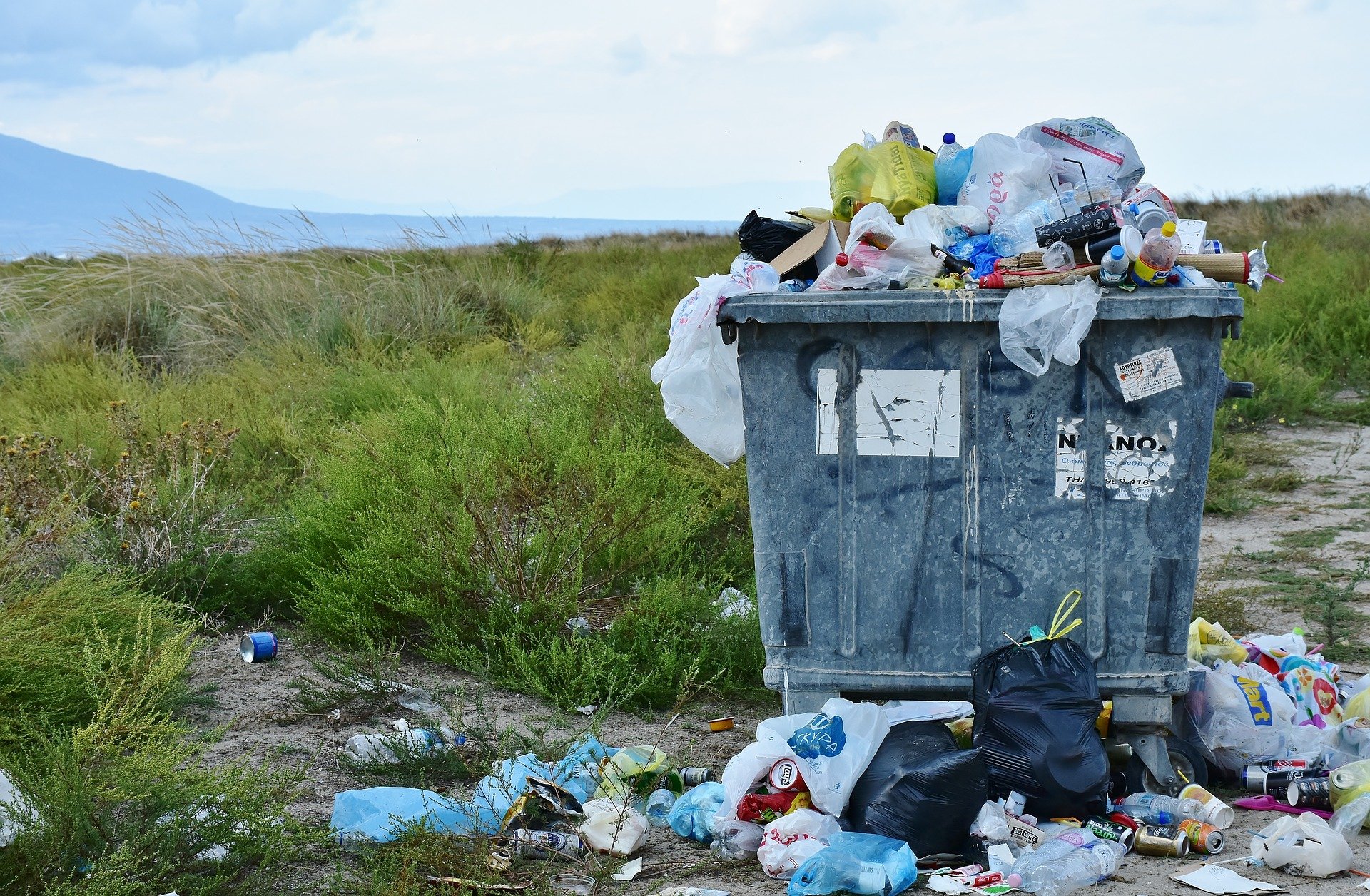 Übergelaufener Container mit Müll in der Natur