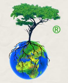 Trees for the World e. V.